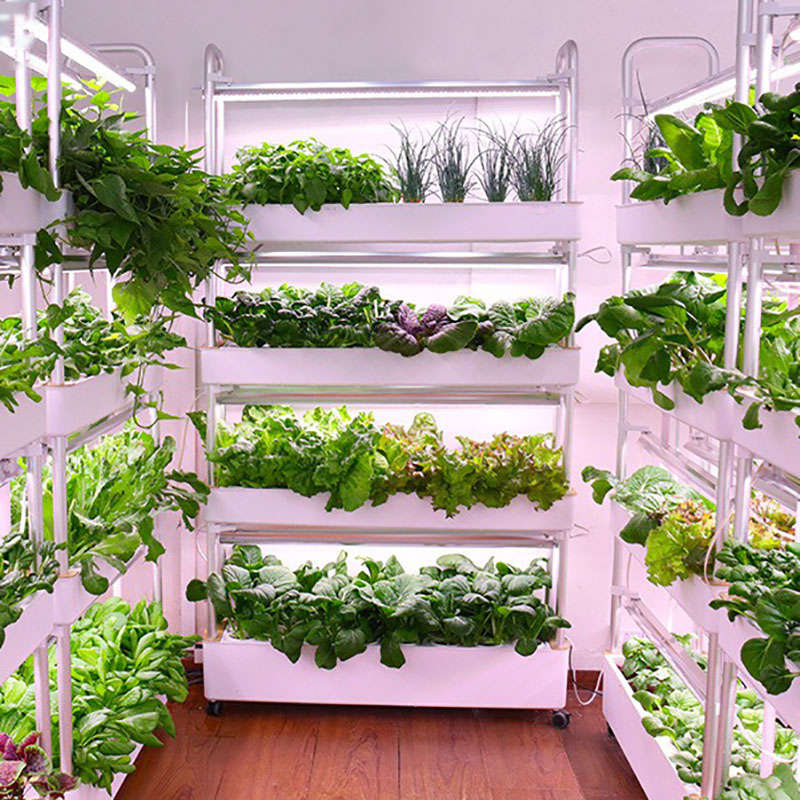 Hydroponic Tower Planter - Sistem Tumbuh Hidroponik Vertikal Pintar Dalam