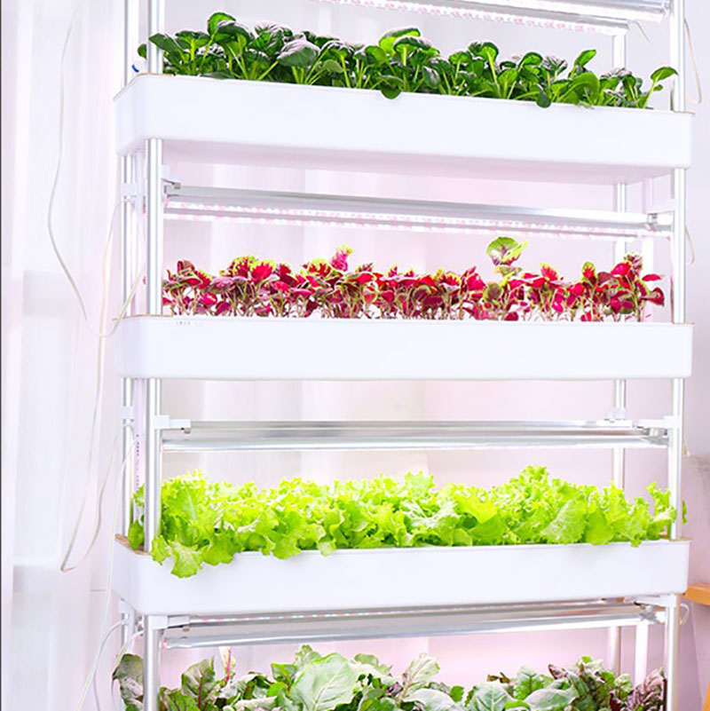 Sistem Tumbuh Hidroponik Verti - Hydroponic Tower Planter ulasan dan harga
